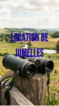 Location de jumelles