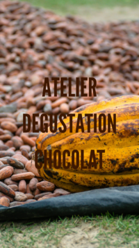 Atelier dégustation de chocolat