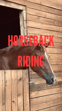 Horseback Riding