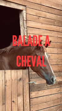 Balade à cheval avec Paulette