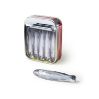 Boite de sardines Cluizel